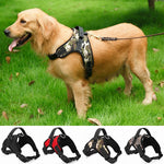 Dog Pet Harness Collar
