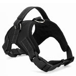 Dog Pet Harness Collar