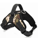 Dog Pet Harness Collar